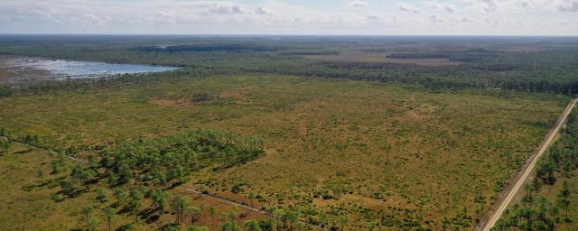 Charlotte County Hunting Tract