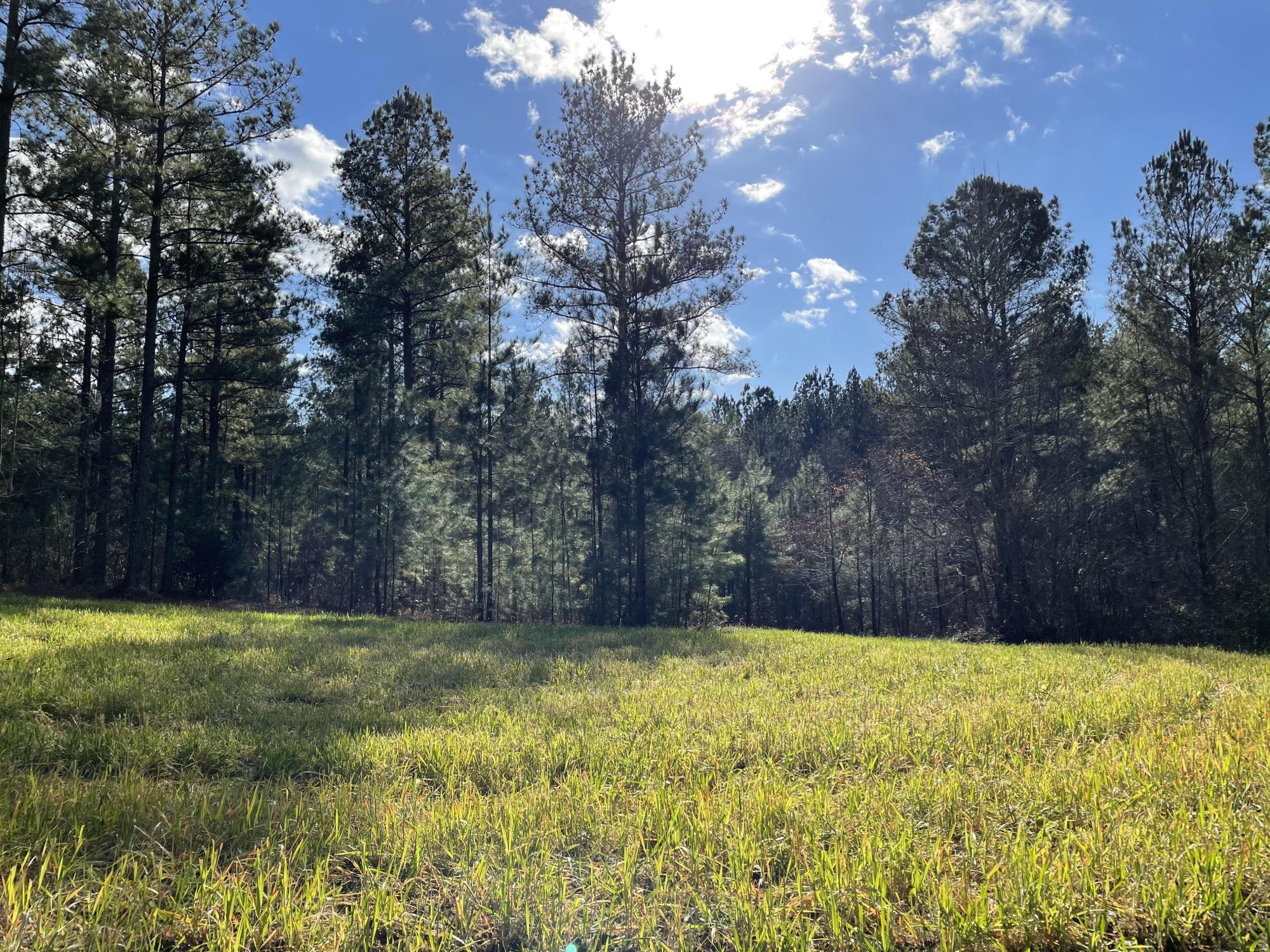 Estes Road