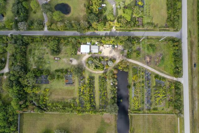 5 Acres On Washingtonia Dr