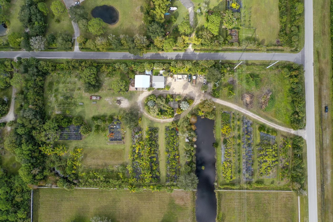 5 Acres On Washingtonia Dr