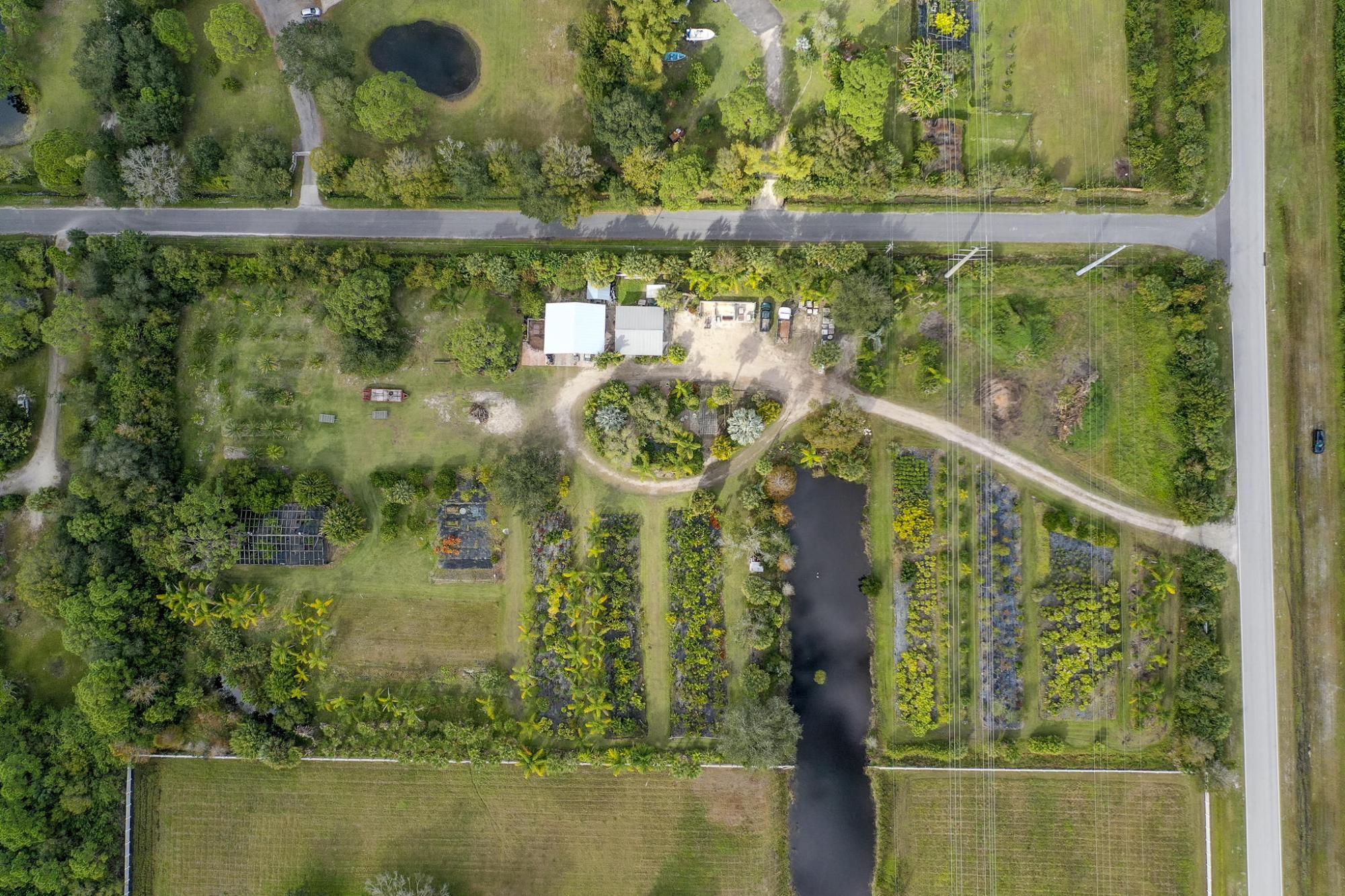 5 Acres On Washingtonia Dr