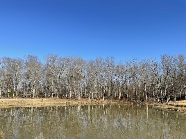 157+- Acres in Walker County