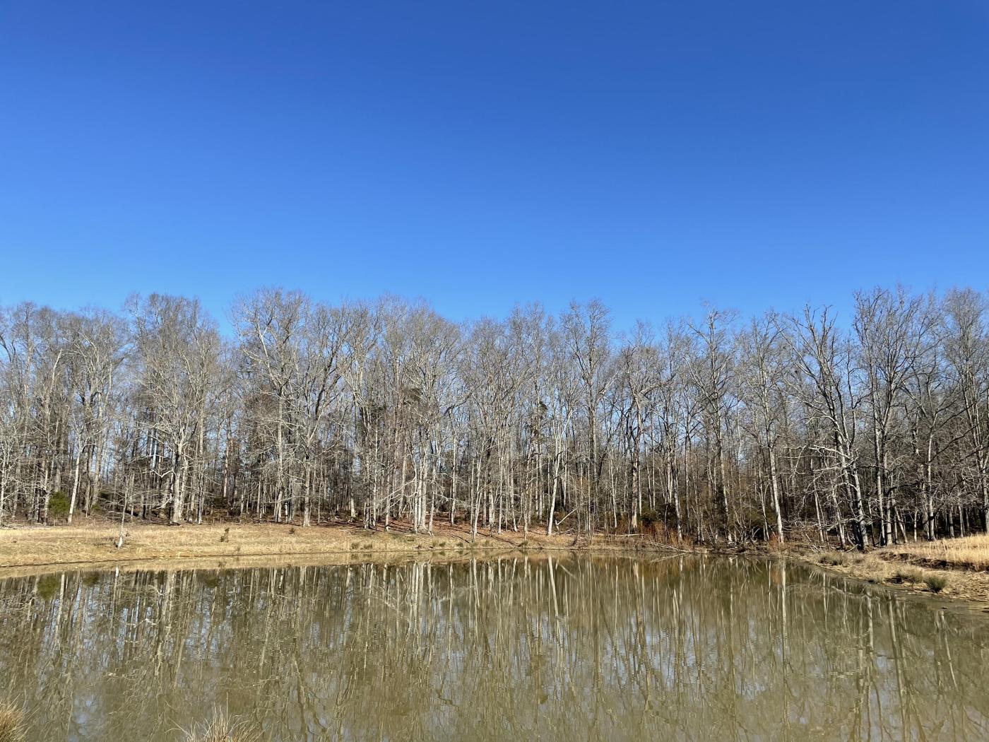 157+- Acres in Walker County
