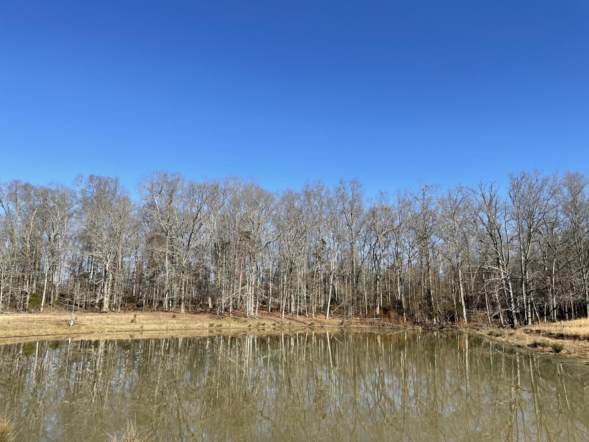 157+- Acres in Walker County