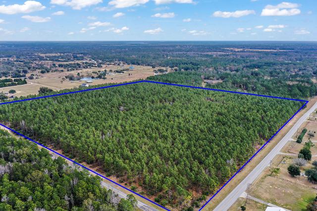 40 Acres in NE Lake County