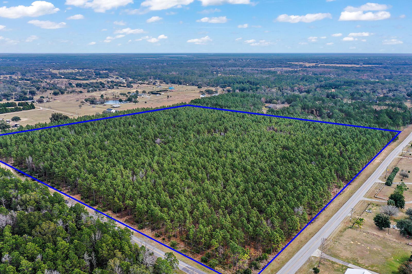 40 Acres in NE Lake County