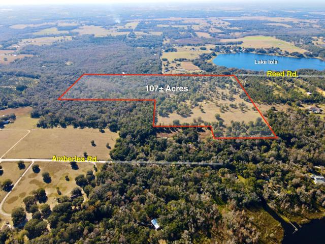 107 ac of Pasture and Woods in Dade City