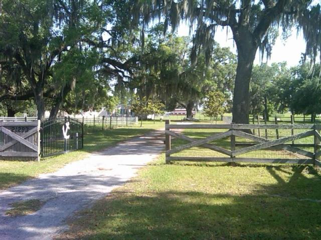 30 acre Hernando County Ranch