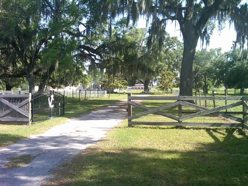30 acre Hernando County Ranch