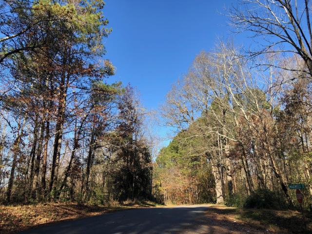 103.548 +/- Wooded Acres with Creek Bartow Co