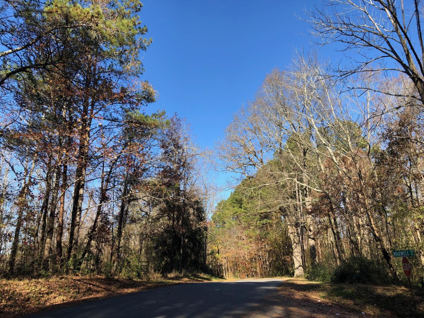 103.548 +/- Wooded Acres with Creek Bartow Co