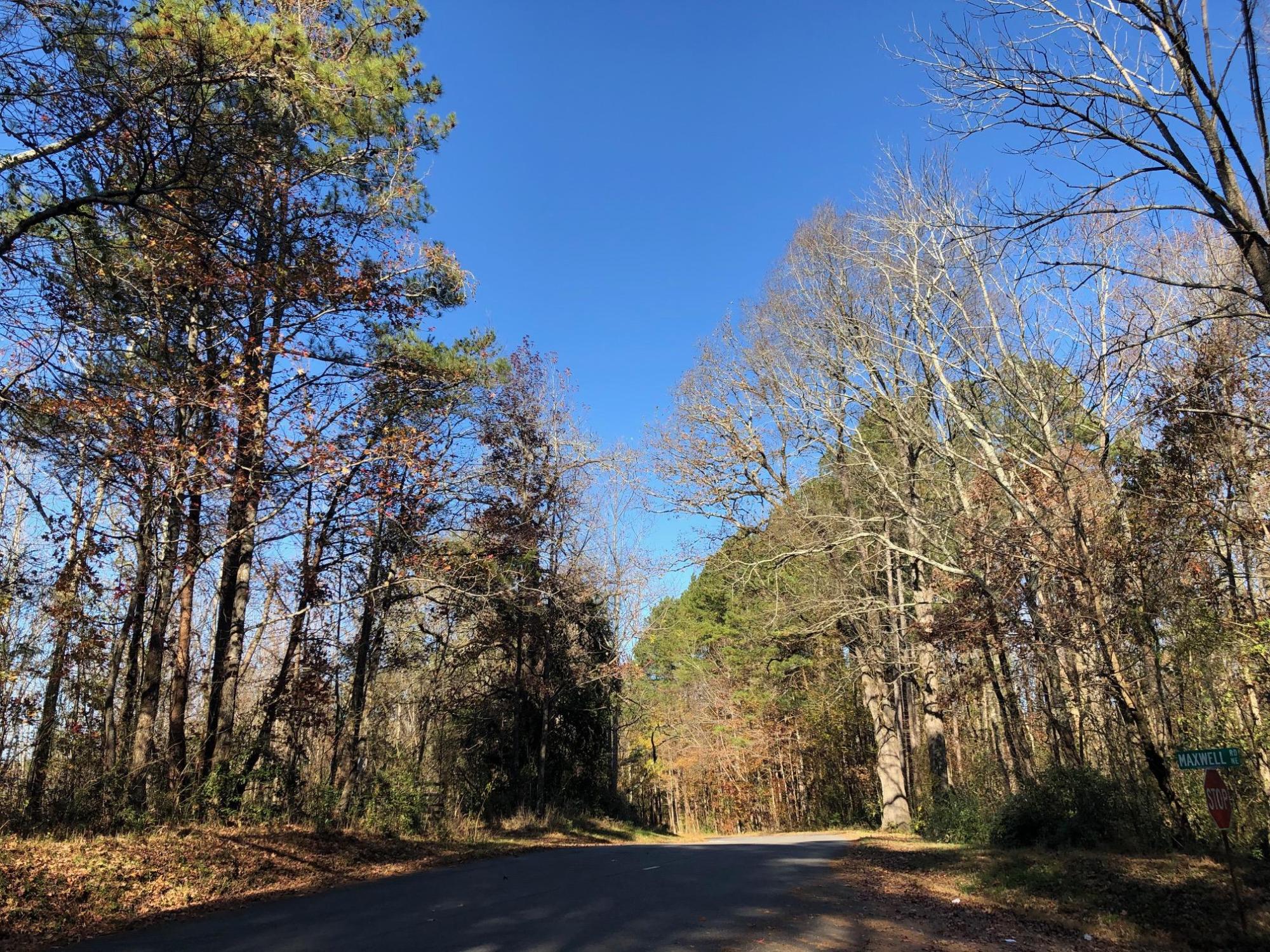 103.548 +/- Wooded Acres with Creek Bartow Co