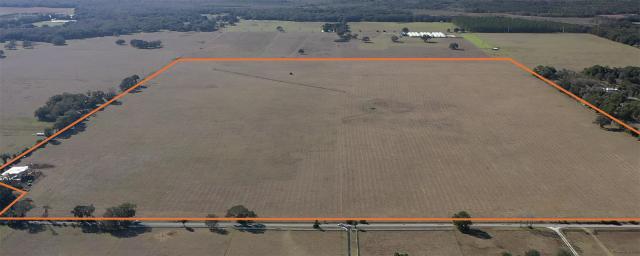 Lake Panasoffkee Irrigated Farmland