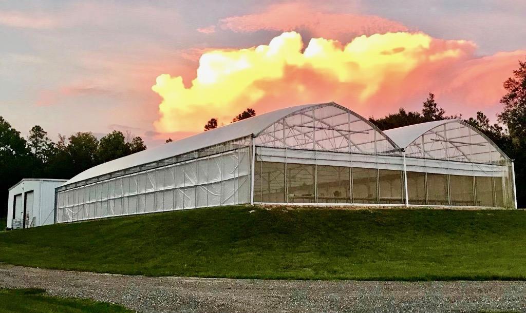 Turn-Key Greenhouse Operation in Zephyrhills