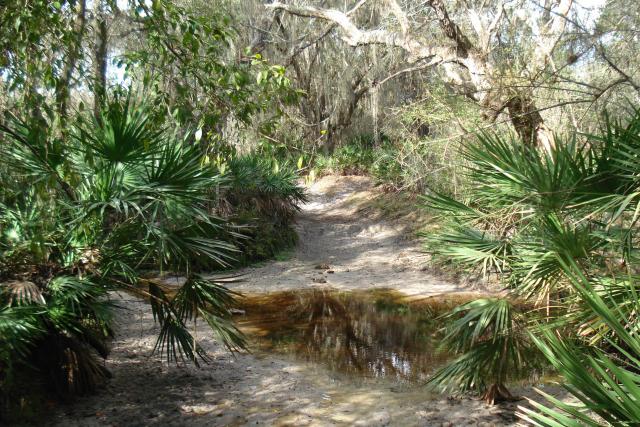 Old Miakka Ranch