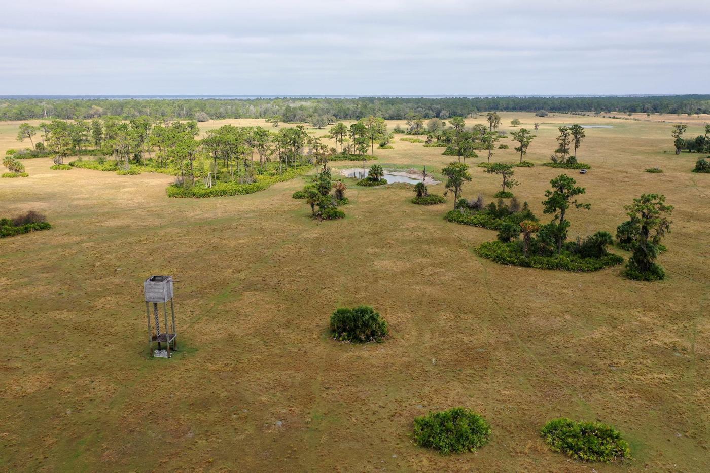 FX Bar 442 Acres