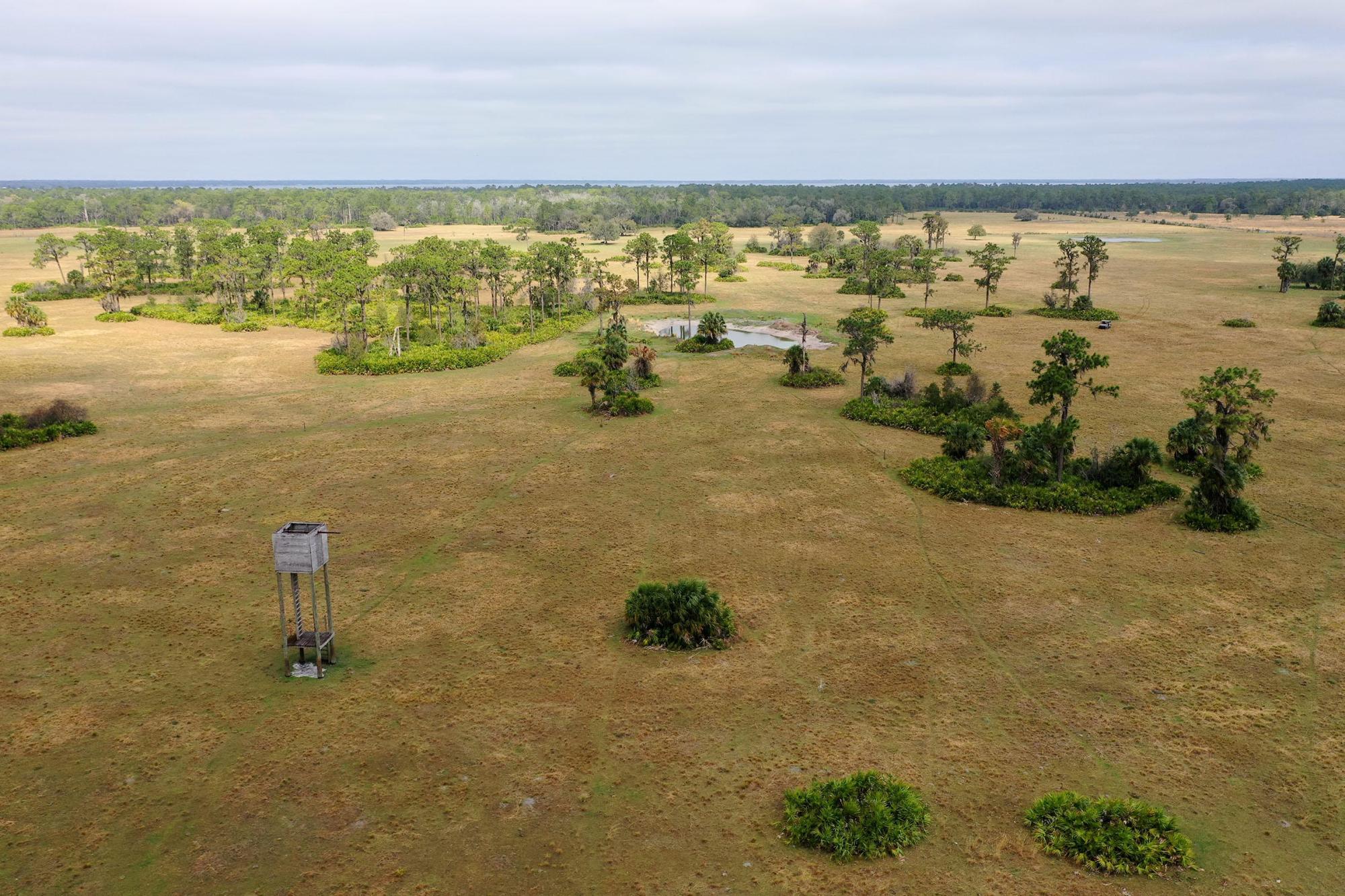 FX Bar 442 Acres
