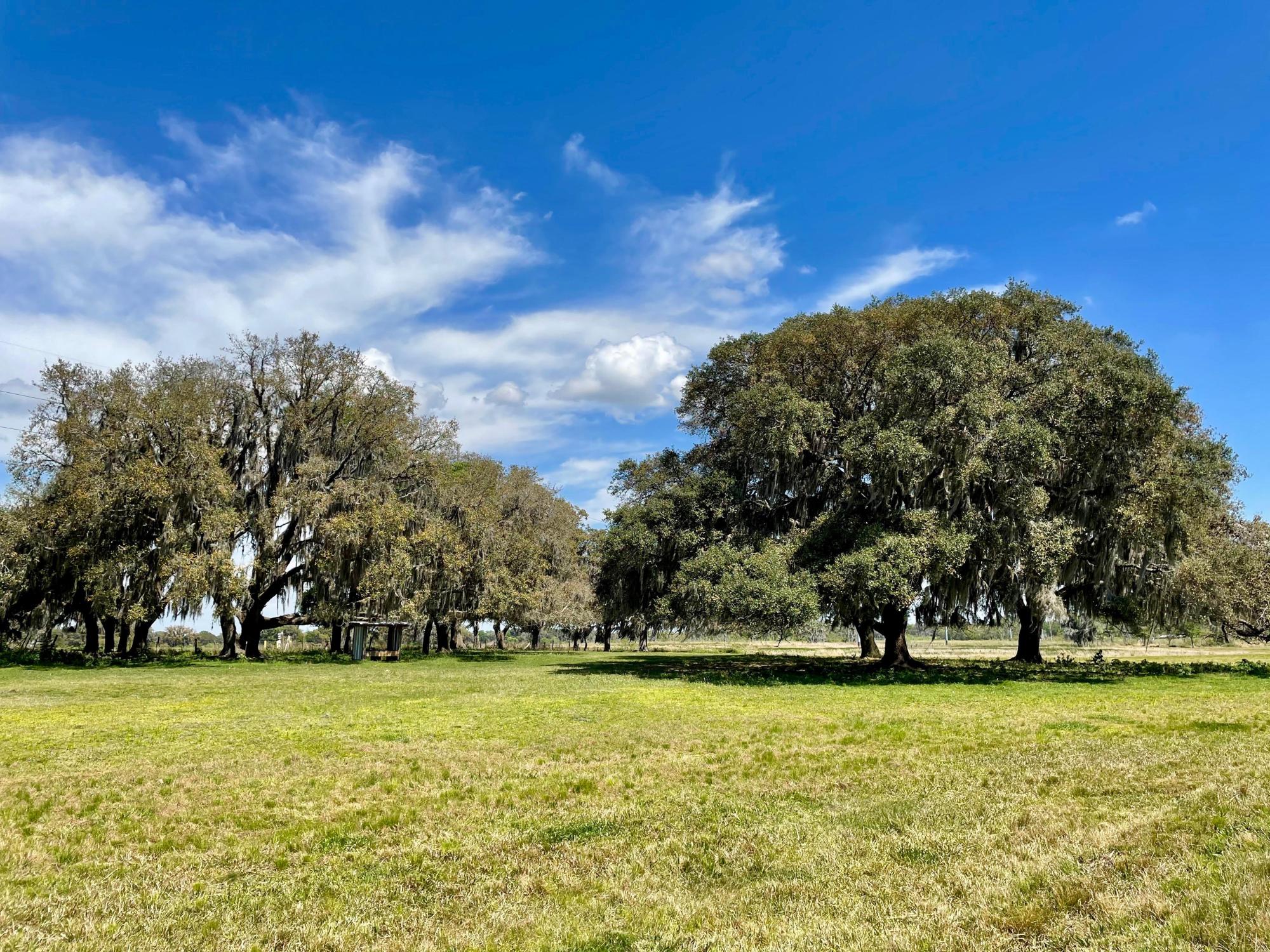36.35 ac Ranch in Spring Hill