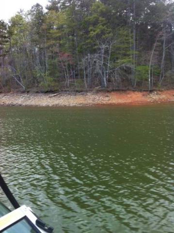 Lake Lanier lot on Nix Bridge Rd - BANK OWNED