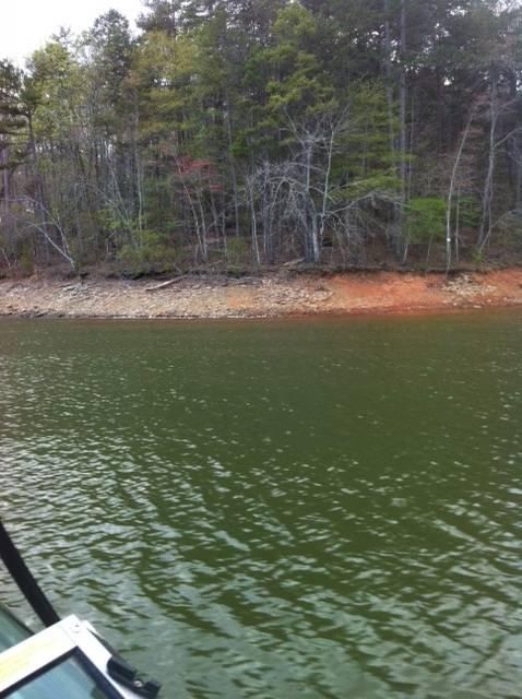 Lake Lanier lot on Nix Bridge Rd - BANK OWNED