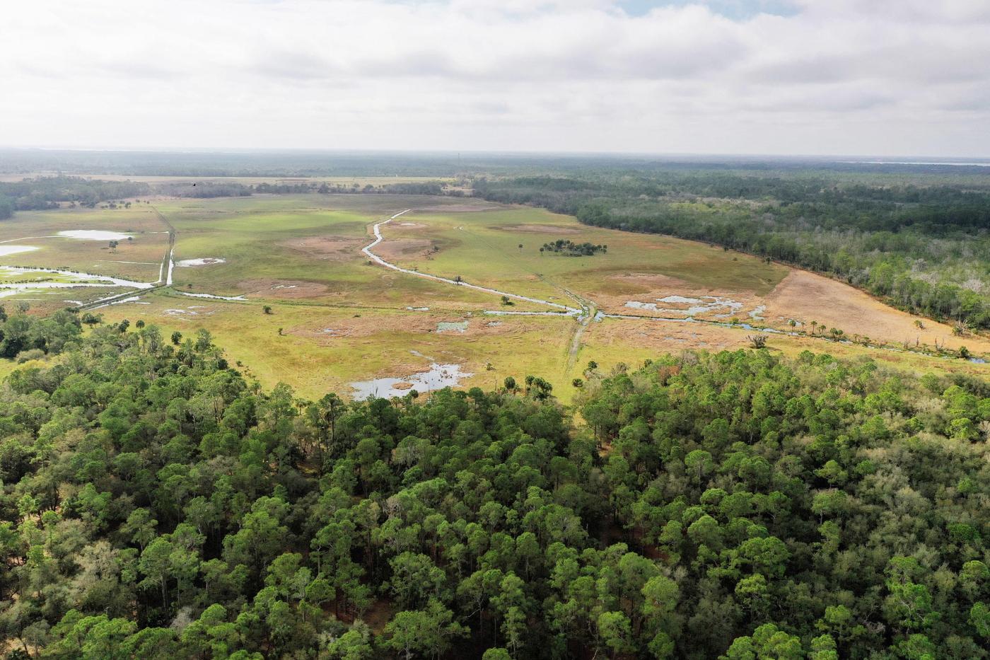FX Bar 800 Acres