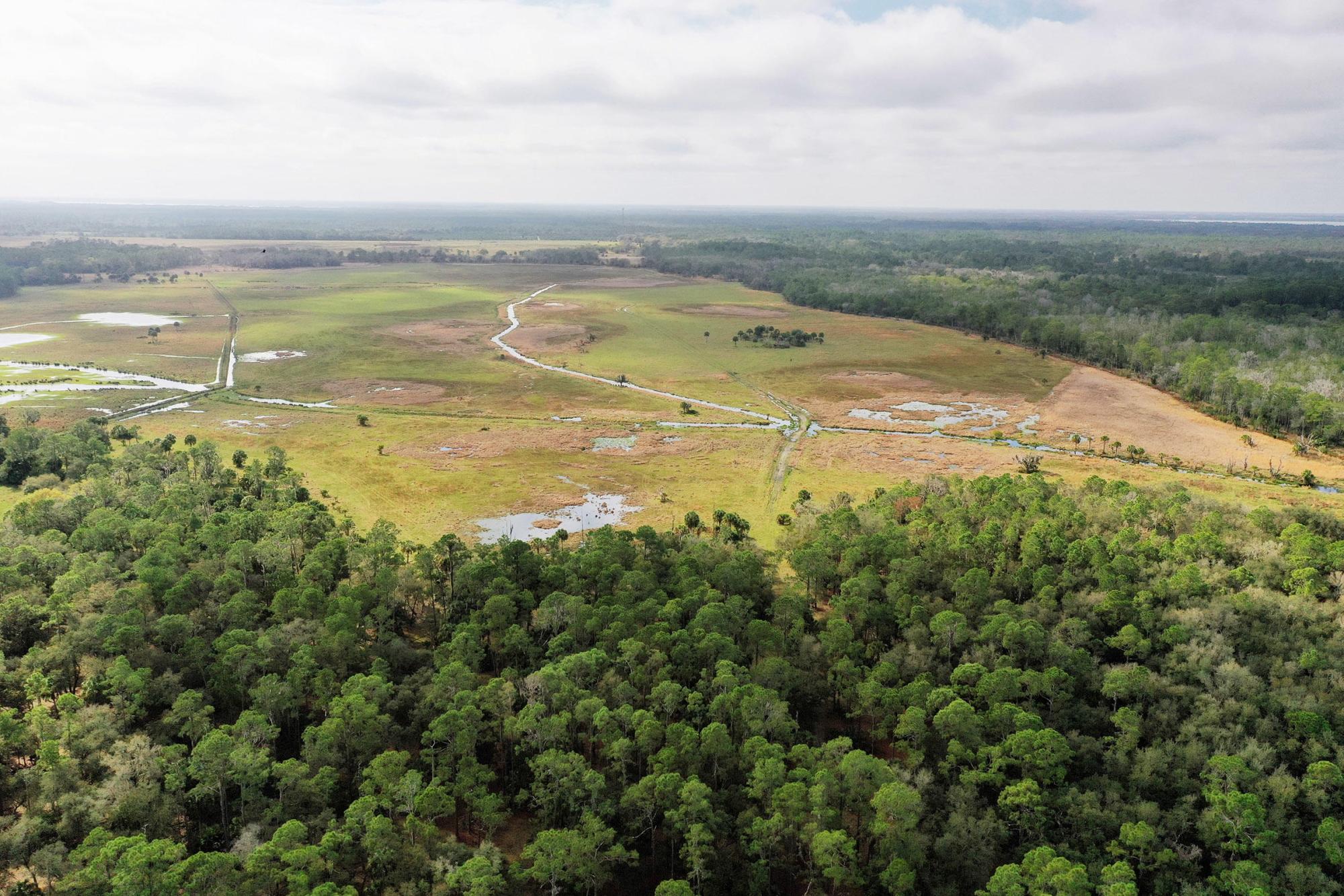 FX Bar 800 Acres