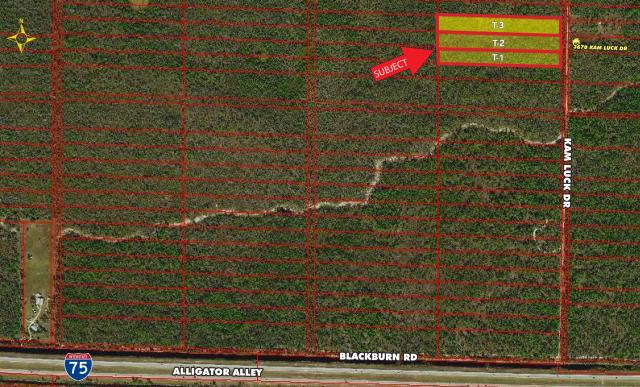 Three 4.8 Acre Lots