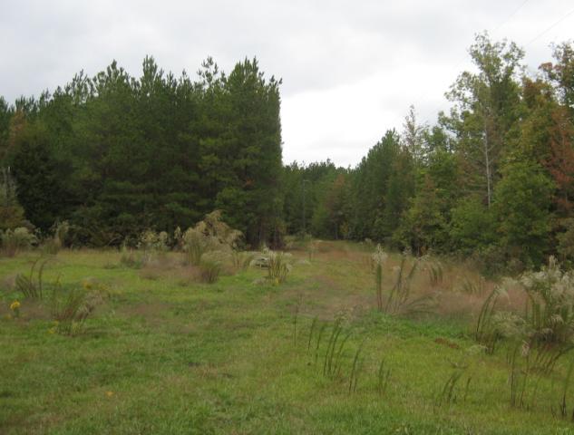 27.91 Acres in Jones County