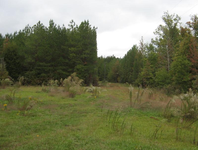 27.91 Acres in Jones County