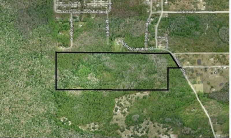 82.3+- Acres in Homosassa