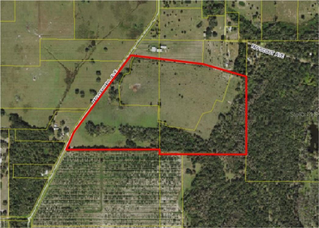 67 Acre Ranch for Sale in Desoto County!