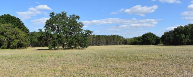 South Lake County Acreage
