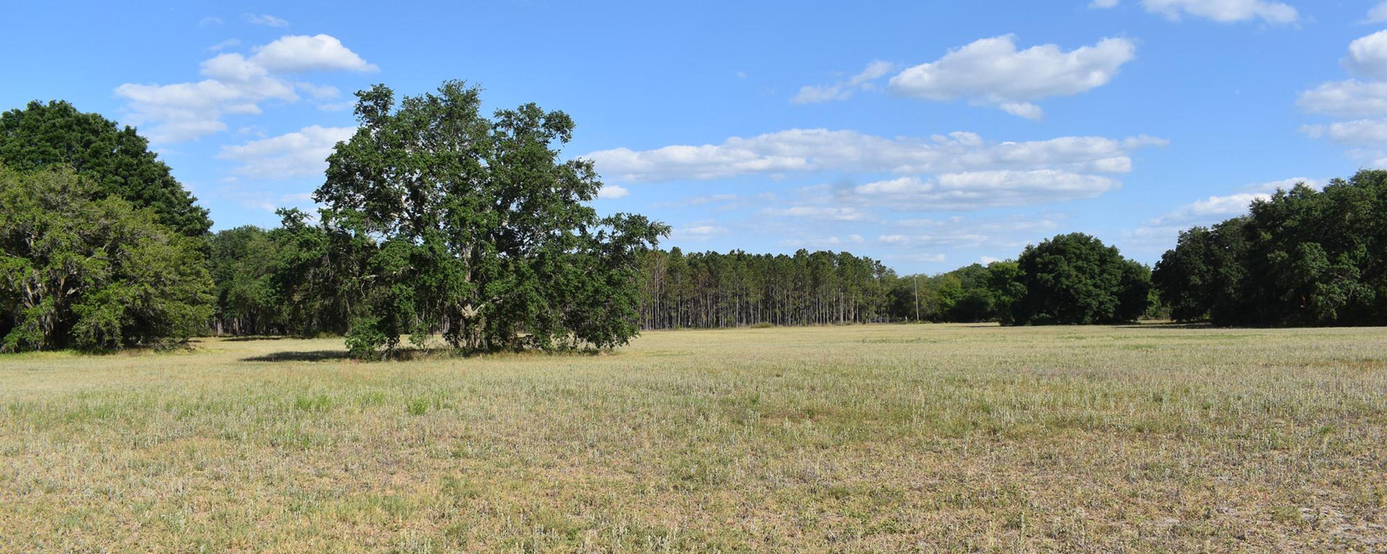 South Lake County Acreage