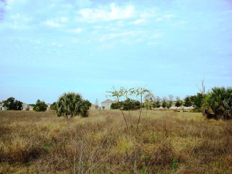 Major Reduction On This High and Dry Land!