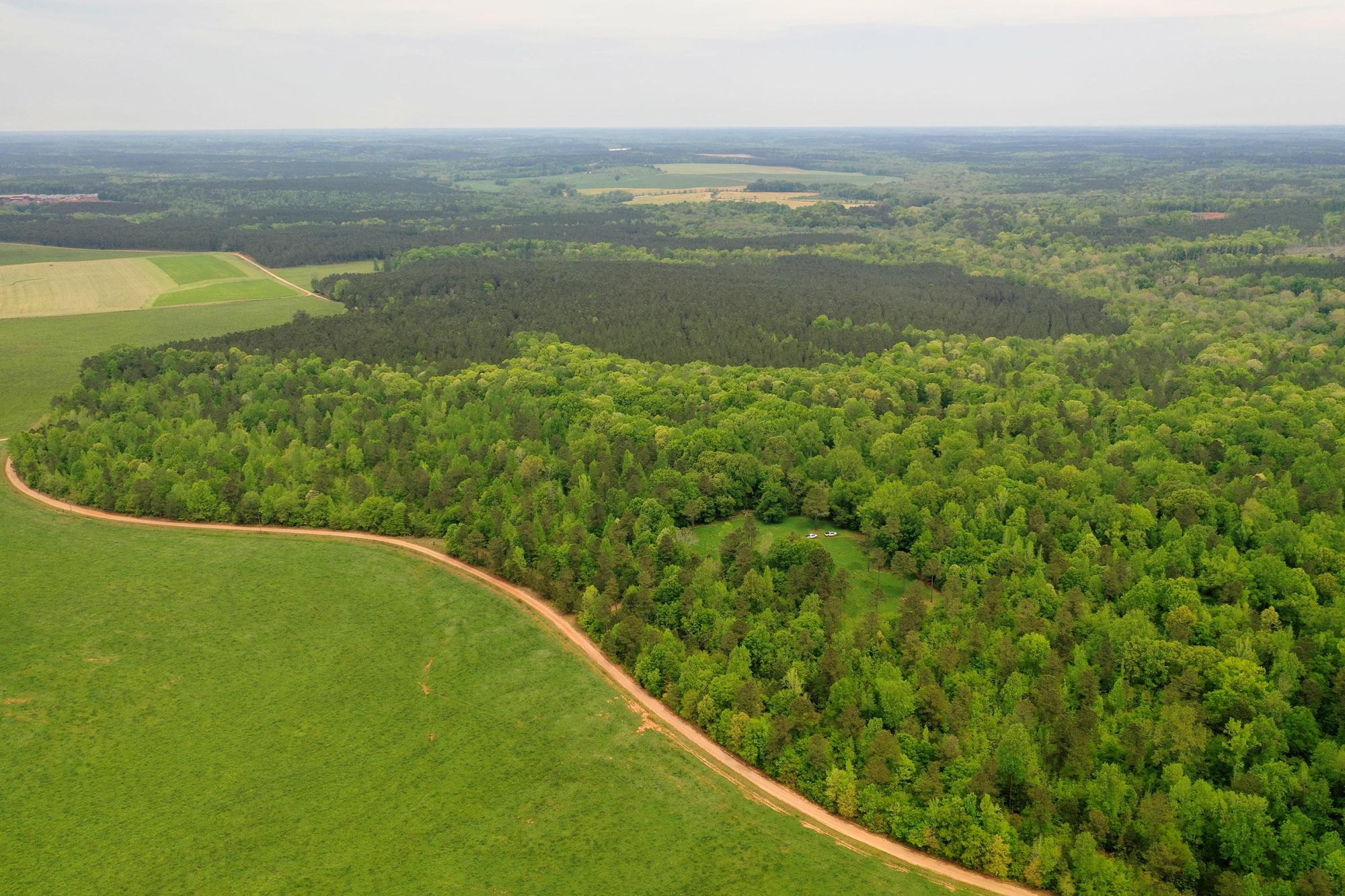 Lake District Woodland Preserve