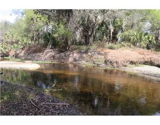 Armadillo Trail