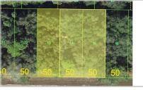 .52 Acre CG-Zoned Land For Sale on Tamiami Tr