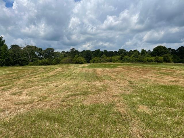 26.88 +/- Ac. Zoned R2 Paulding County