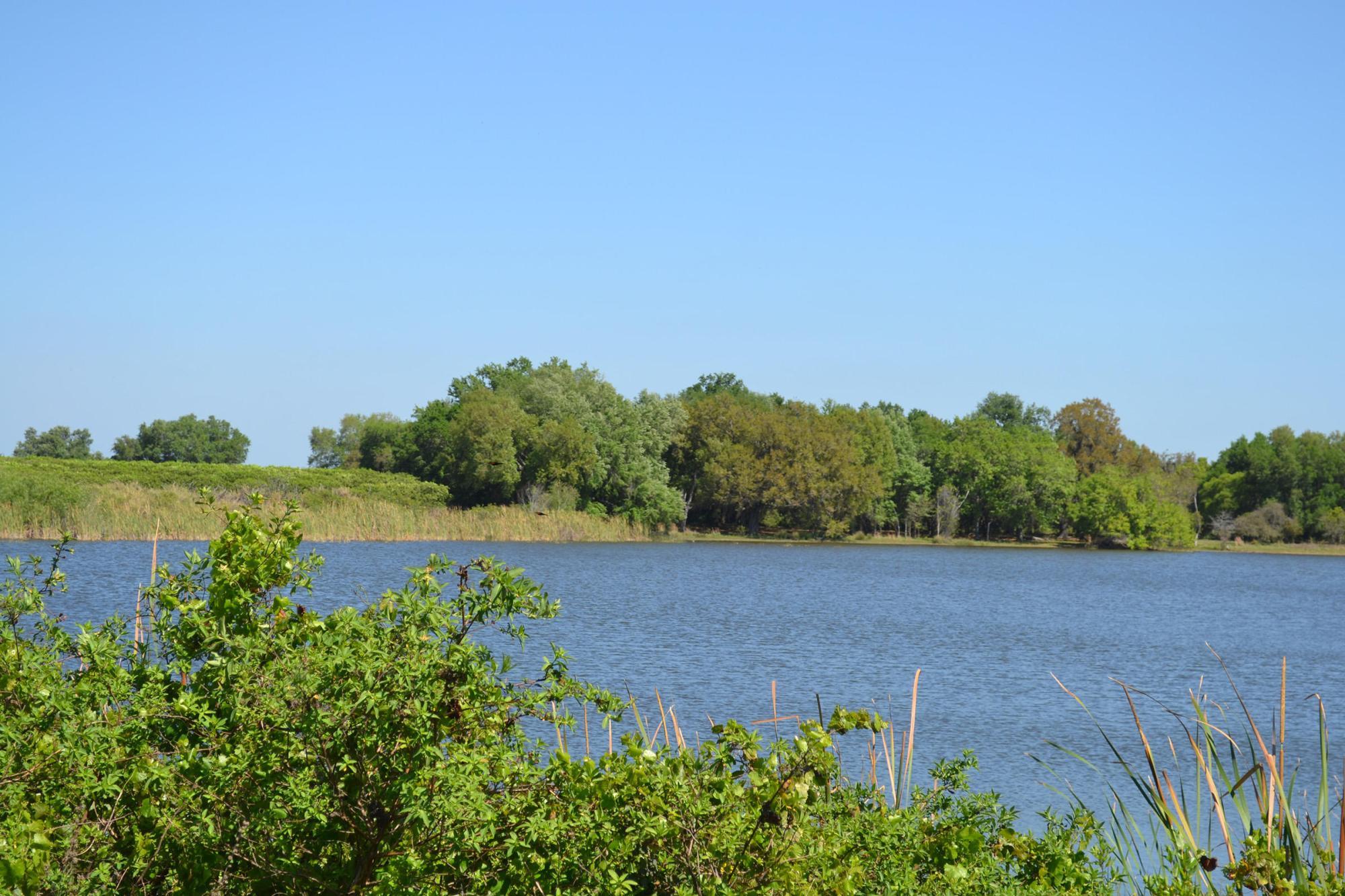 Rocker Farms Lake Wales