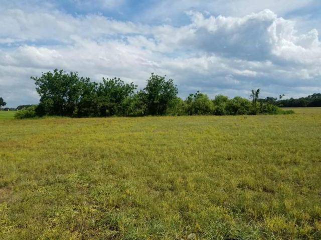 30 Acres with pond