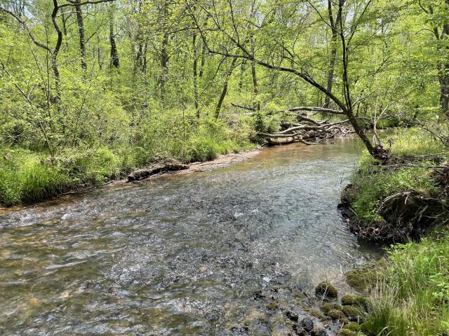 172 +/- Acres Wooded –Bartow County
