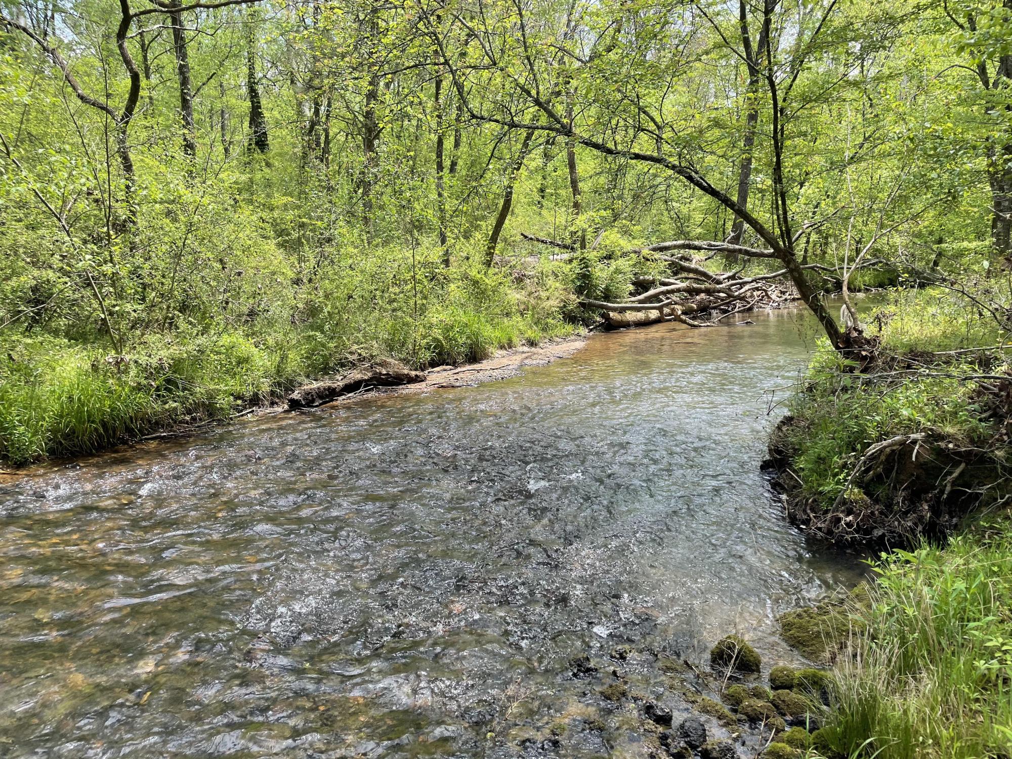 172 +/- Acres Wooded –Bartow County