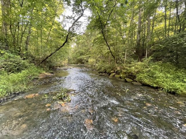 106.5 +/- Acres Bartow County Interior Creek,