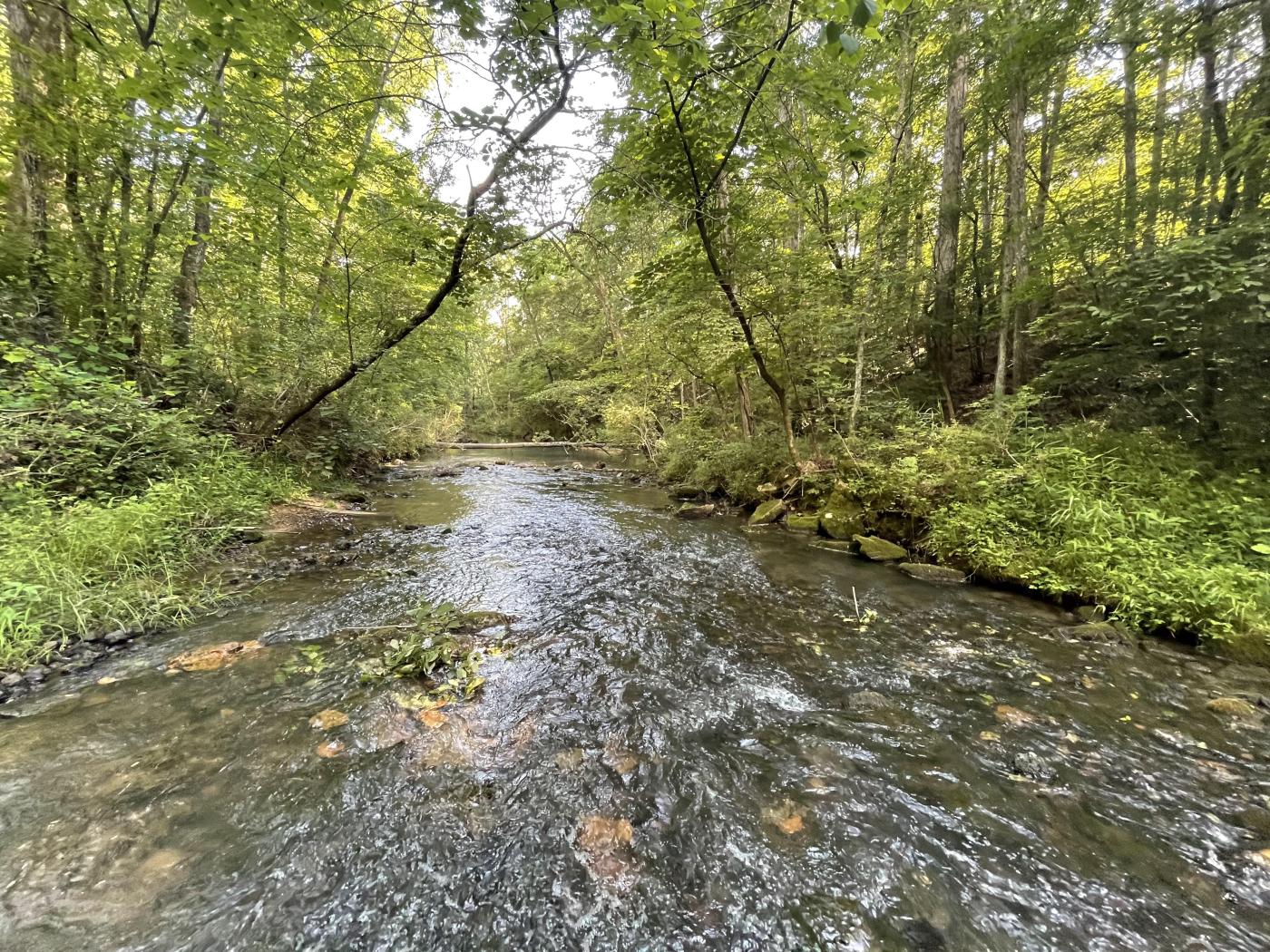 106.5 +/- Acres Bartow County Interior Creek,