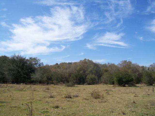 Gun Dog Way 8 Acres