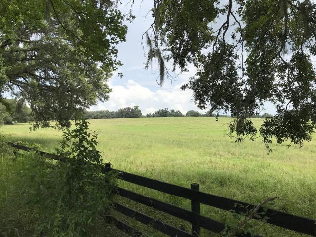 104 ac on the Withlacoochee State Forest