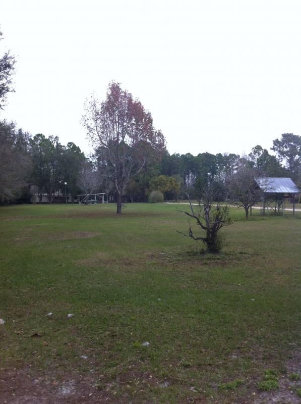 5+ Acres High and Dry