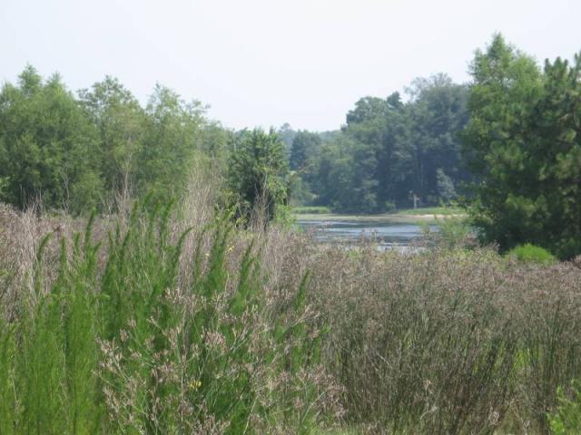 17+ Acre AG Land in East Dublin
