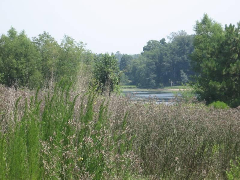 17+ Acre AG Land in East Dublin