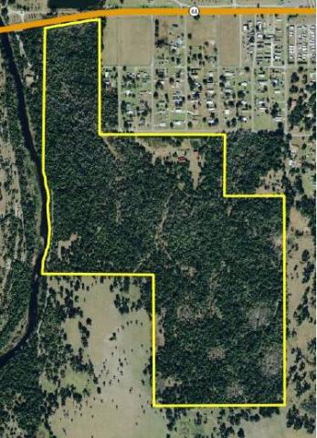Peace River Ranch 147 acres (River Hammock)